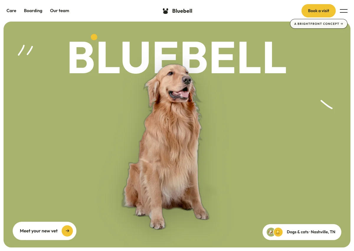 Bluebell Veterinary — veterinary clinic website concept by BrightFront